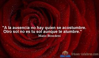 A la ausencia no hay quien se acostumbre. Otro sol no es tu sol aunque te alumbre. Mario Benedetti