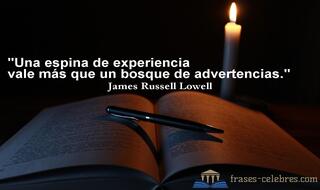 Una espina de experiencia vale más que un bosque de advertencias. James Russell Lowell