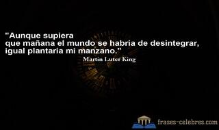 Aunque supiera que mañana el mundo se habría de desintegrar, igual plantaría mi manzano. Martin Luter King