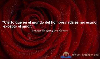 Cierto que en el mundo del hombre nada es necesario, excepto el amor. Johann Wolfgang von Goethe