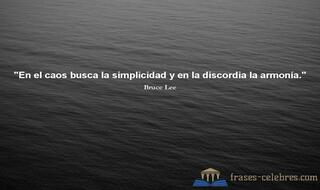 En el caos busca la simplicidad y en la discordia la armonía. Bruce Lee