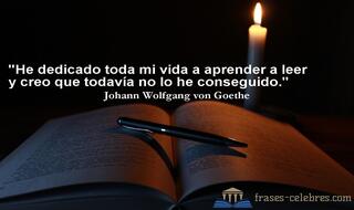 He dedicado toda mi vida a aprender a leer y creo que todavía no lo he conseguido. Johann Wolfgang von Goethe